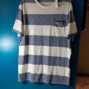 NWT J. CREW, Blue and White Striped Tee. Men's L TALL